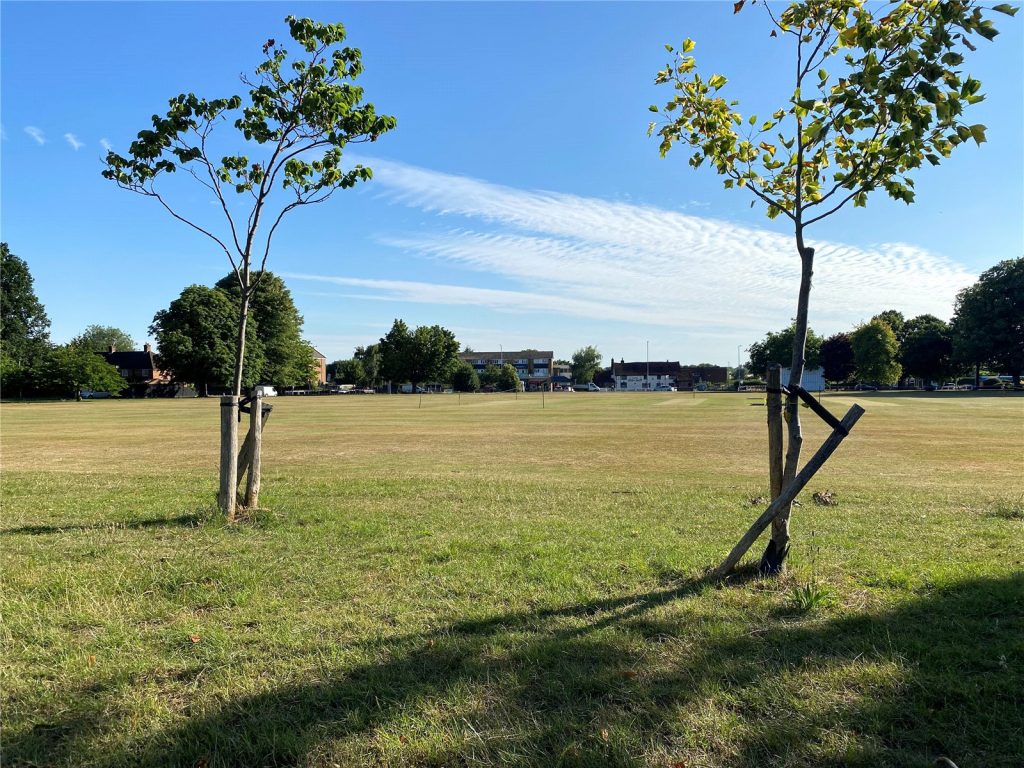 The Horseshoe, Hemel Hempstead