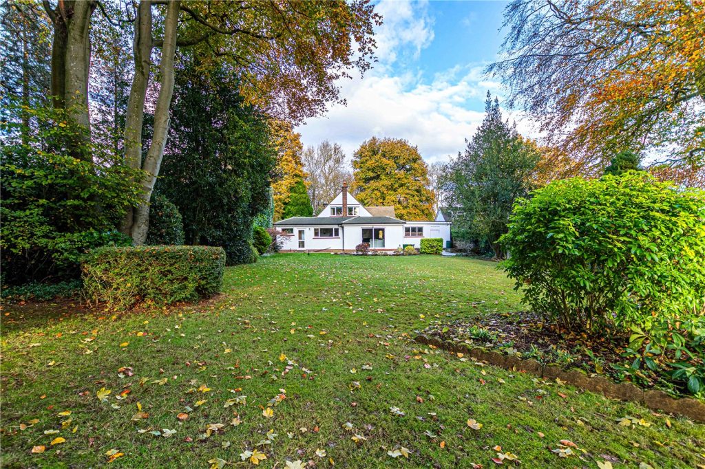 Swannells Wood, Studham